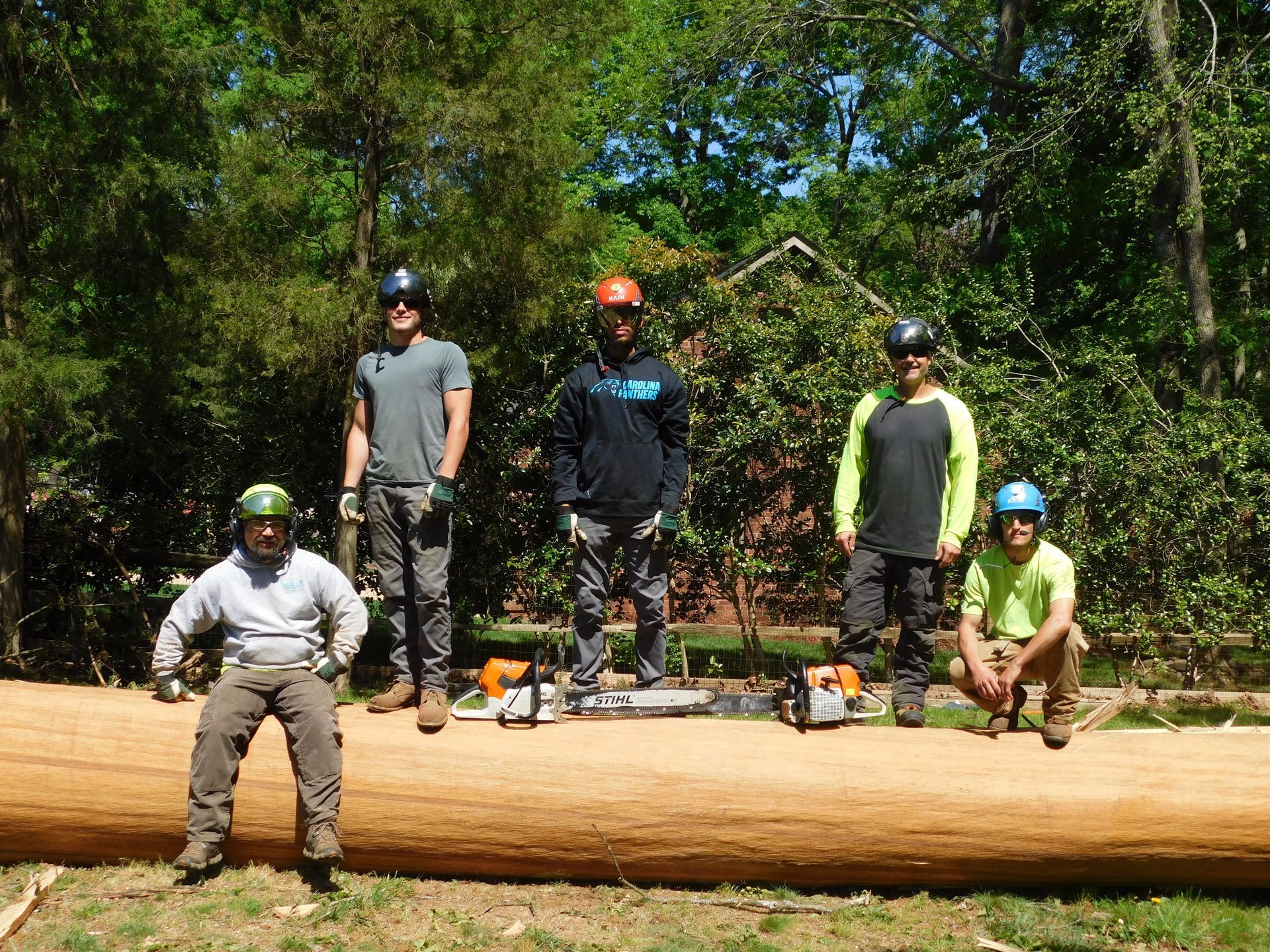 A group of men are standing around a large log.