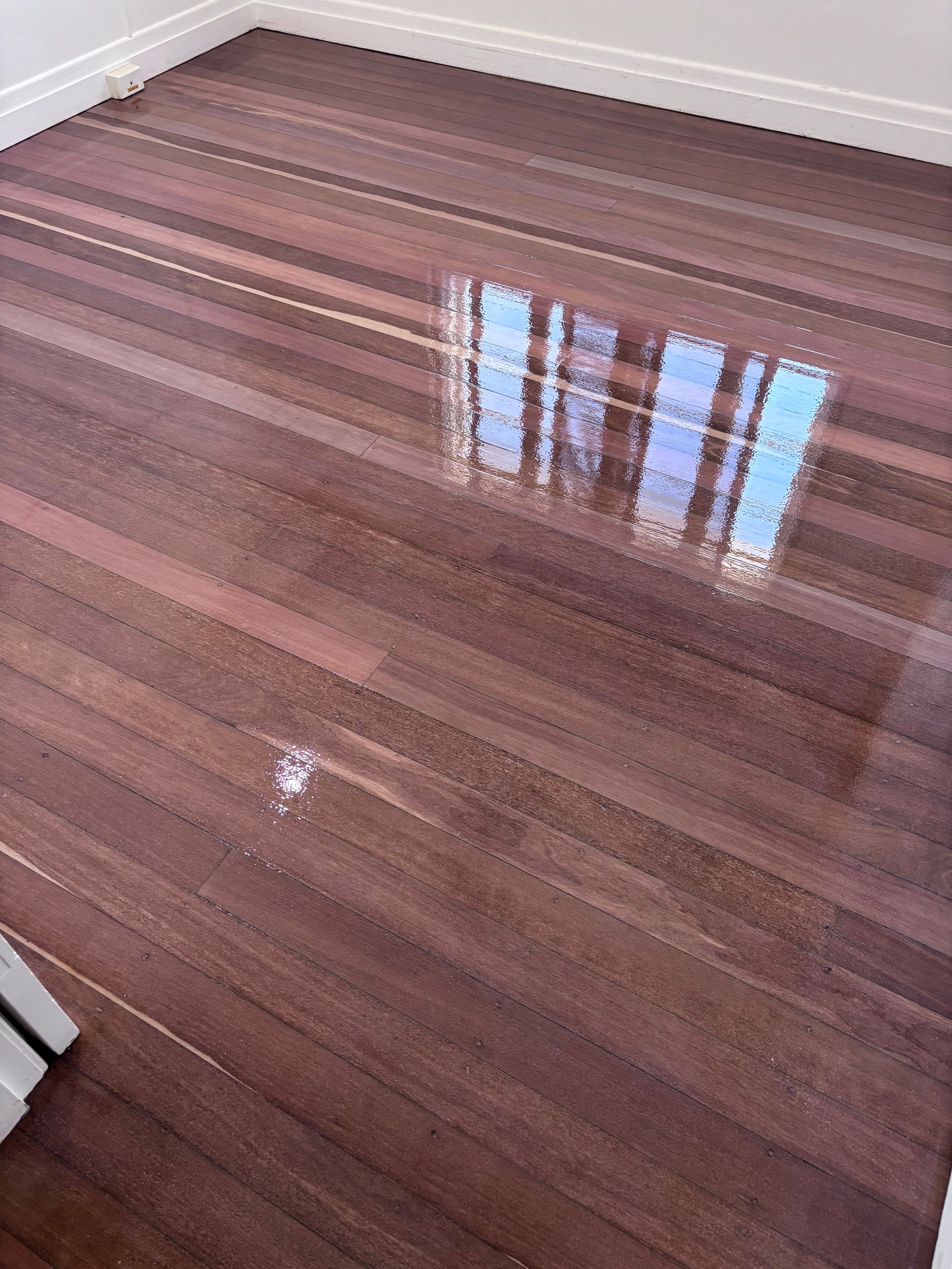 Shiny, Reddish-brown Hardwood Floor Reflecting Light and the Window — Scott Johnston Floor Sanding in Bentley Park QLD