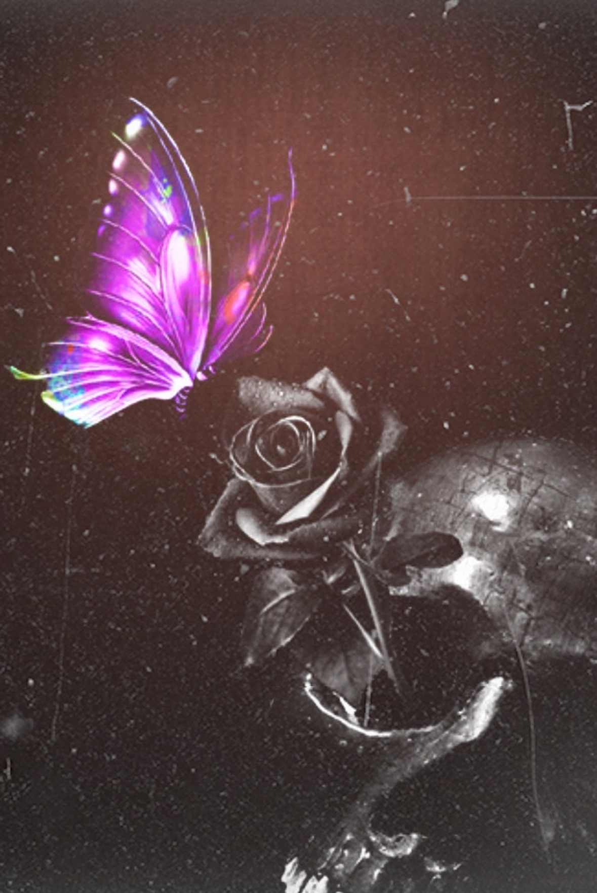 A purple butterfly is sitting on top of a black rose on a skull.