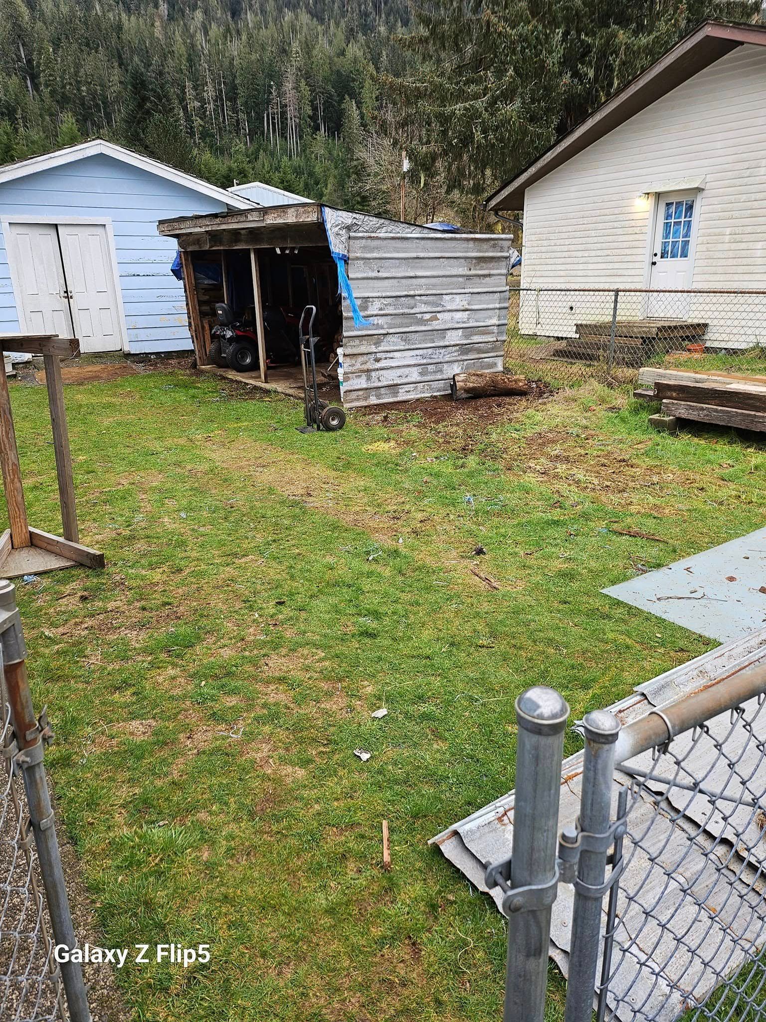 Backyard with a shed, a small blue building, and a white house. Grass and a chain-link fence.