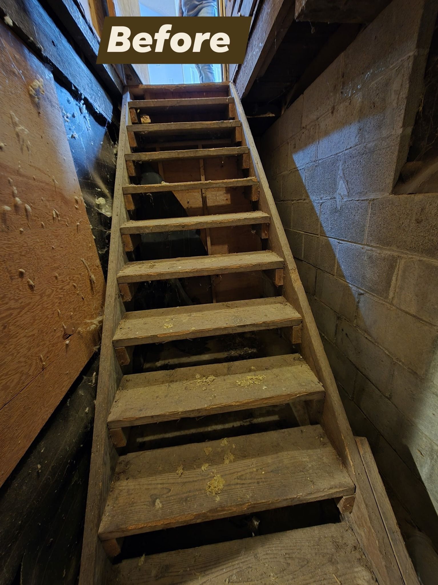 Dilapidated wooden basement stairs.