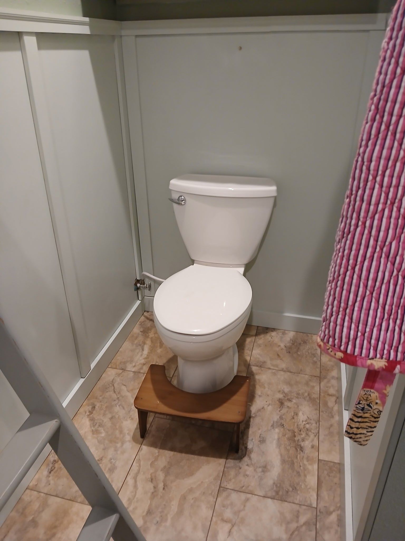 Toilet in a small bathroom with a wooden footstool, next to a gray ladder.