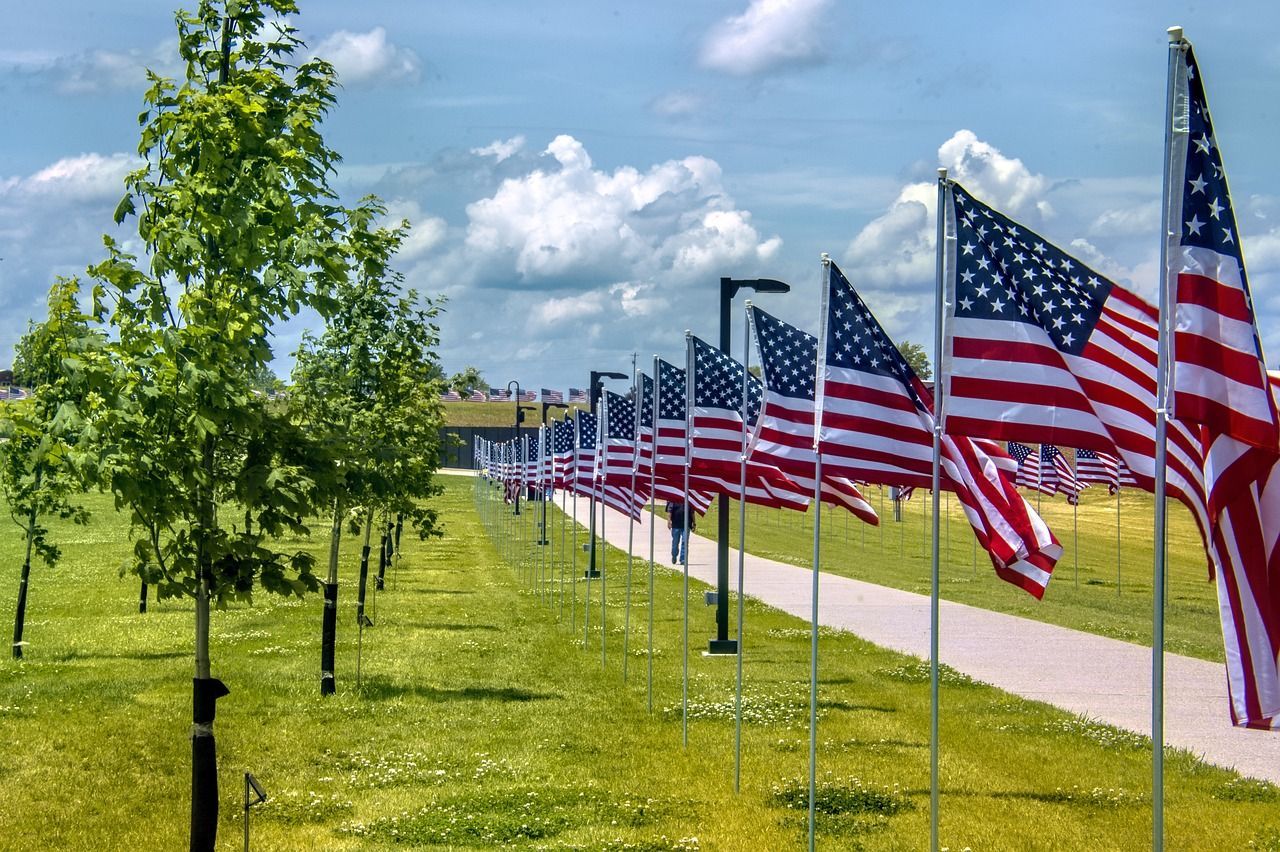 A vibrant row of American flags displayed along a walkway in a lush green park, with young trees lining the path under a clear blue sky with scattered clouds.