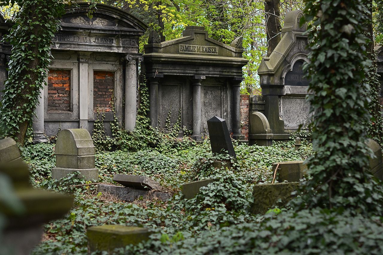 Cemetery covered in trees and plants