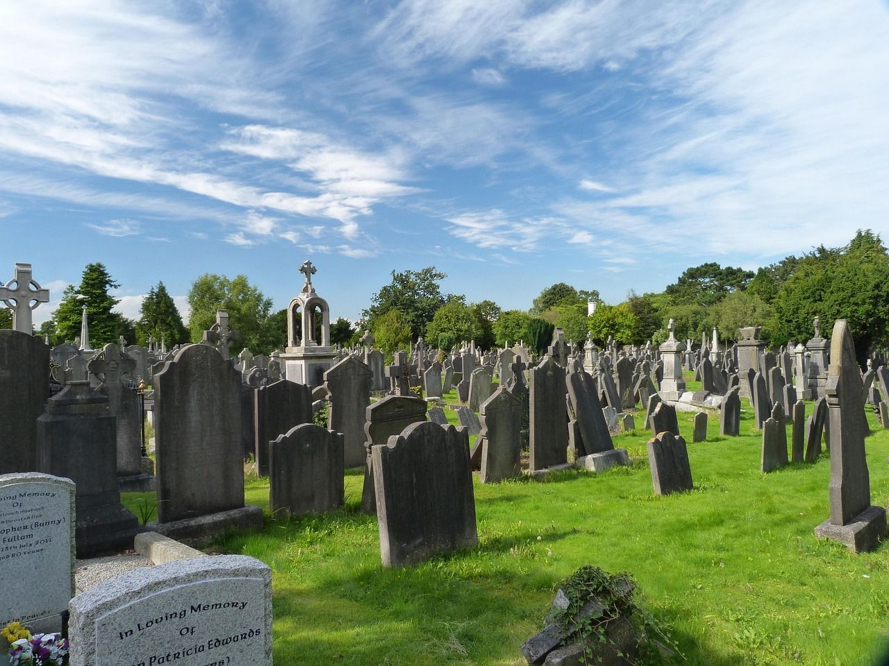 Picture of a graveyard with trees in the back and nice sunshine