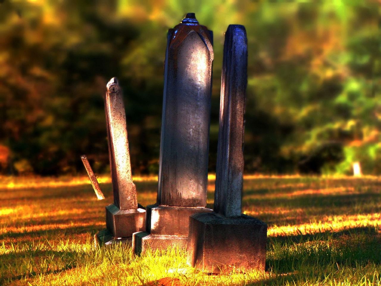 Old, weathered gravestones leaning at different angles in a grassy cemetery, bathed in warm sunlight