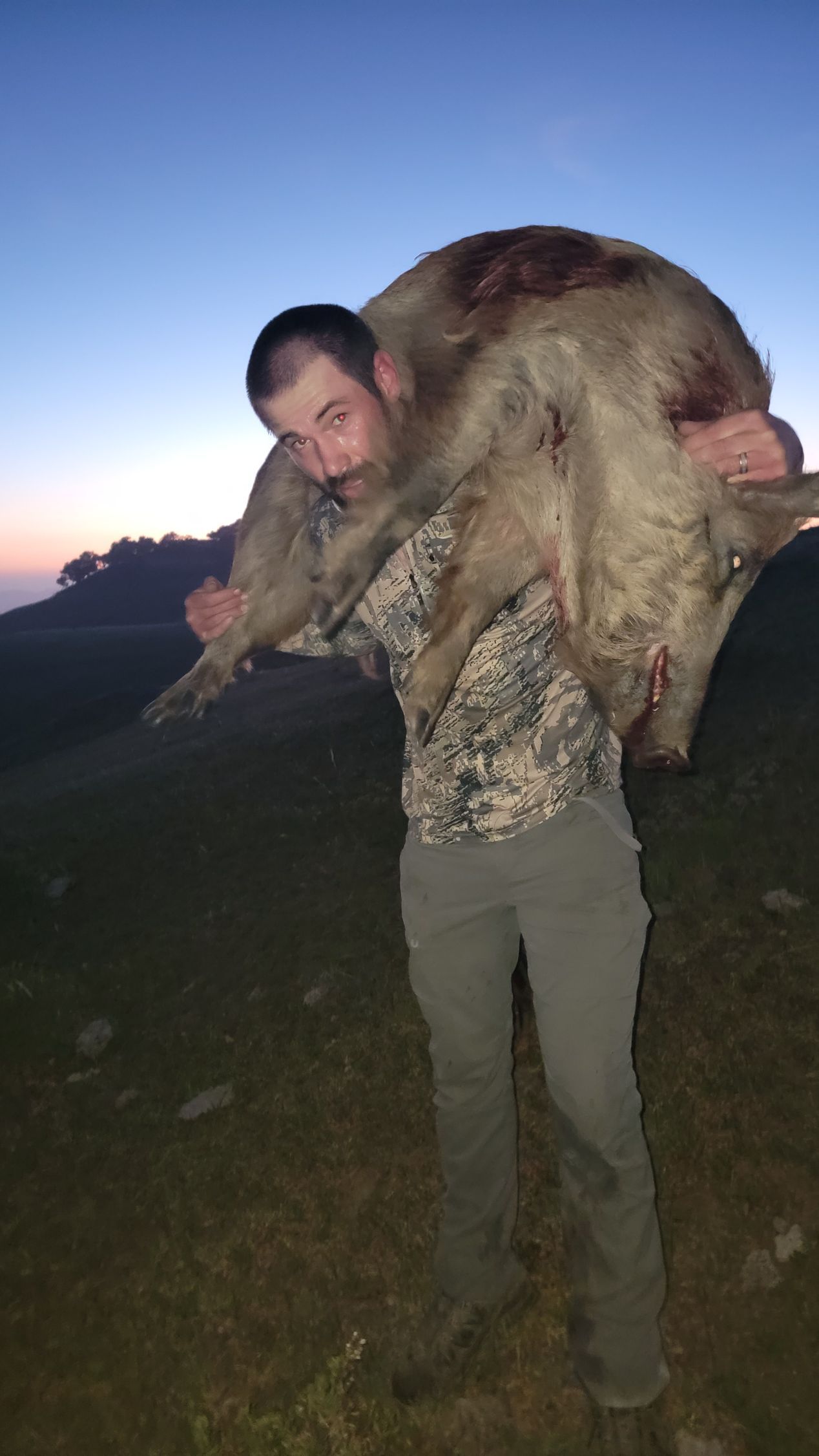 Owner Sam McGuire packing out a large wild hog after successful California guided pig hunt