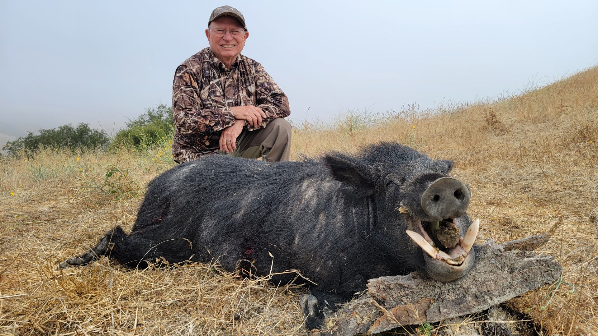 Hunter kneeling beside large wild boar taken on guided pig hunt in California