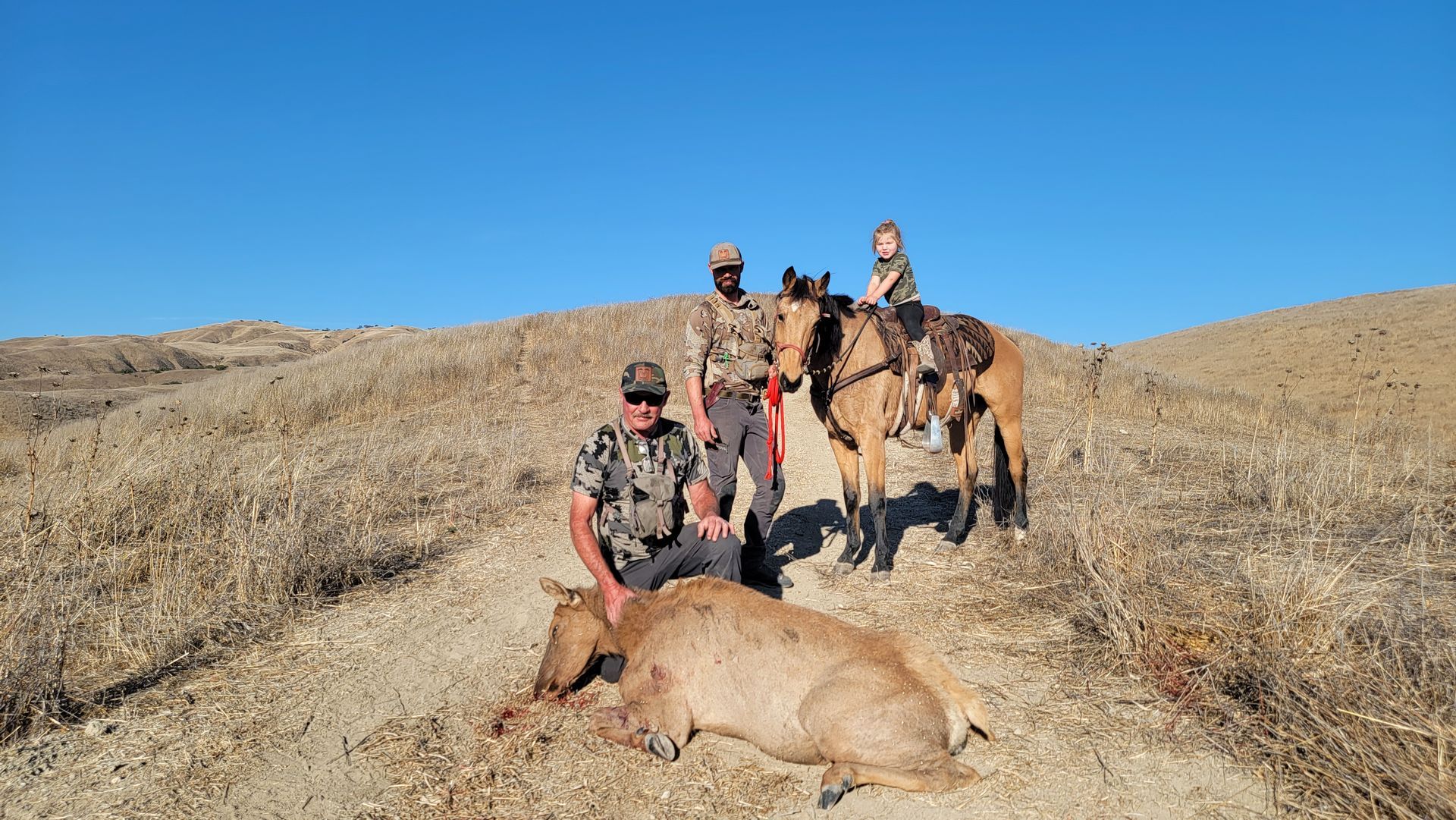 Hunter and guide with downed Tule cow elk in Central Coast backcountry