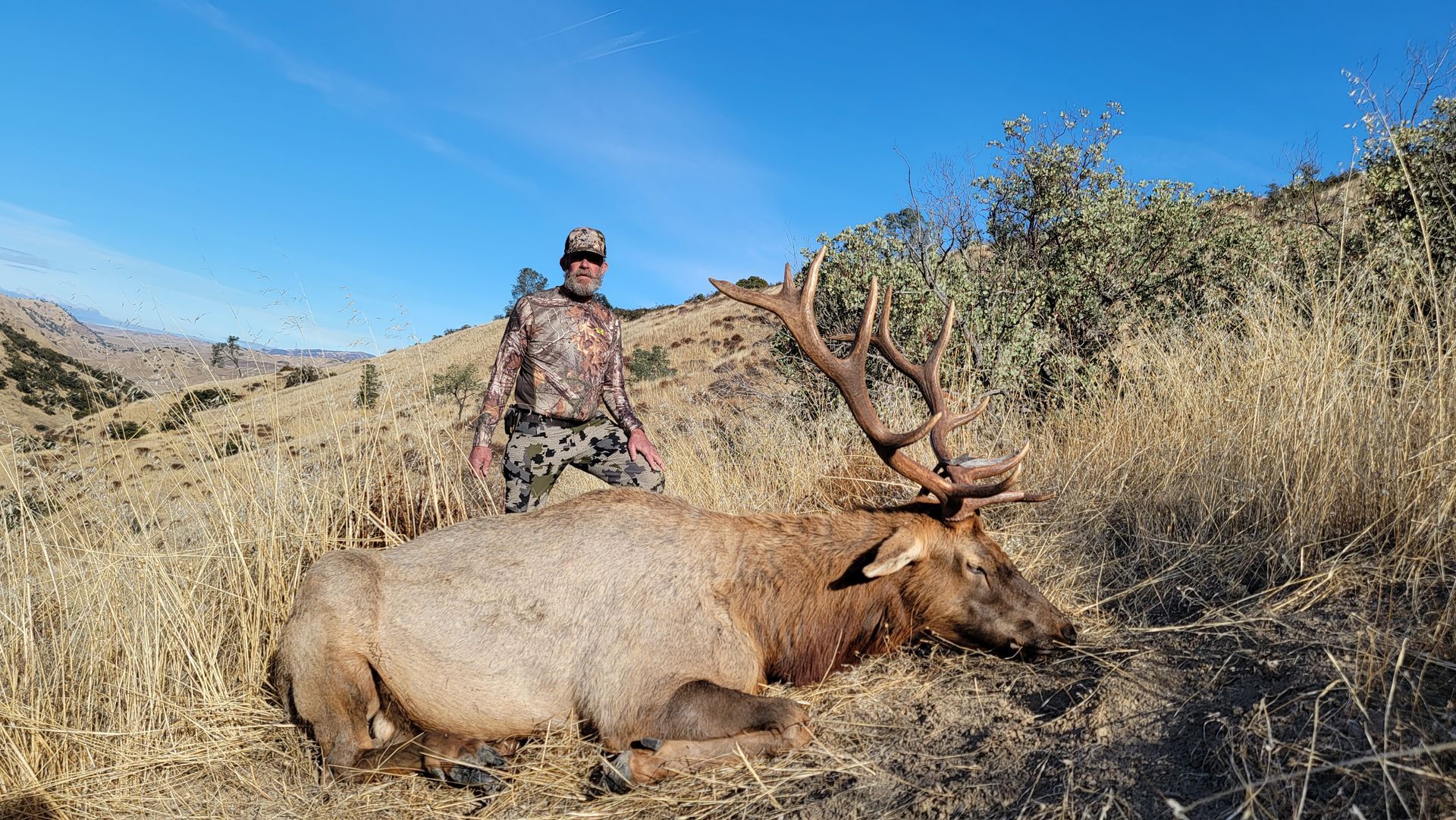 Successful Tule elk hunter posing with mature bull on private ranch