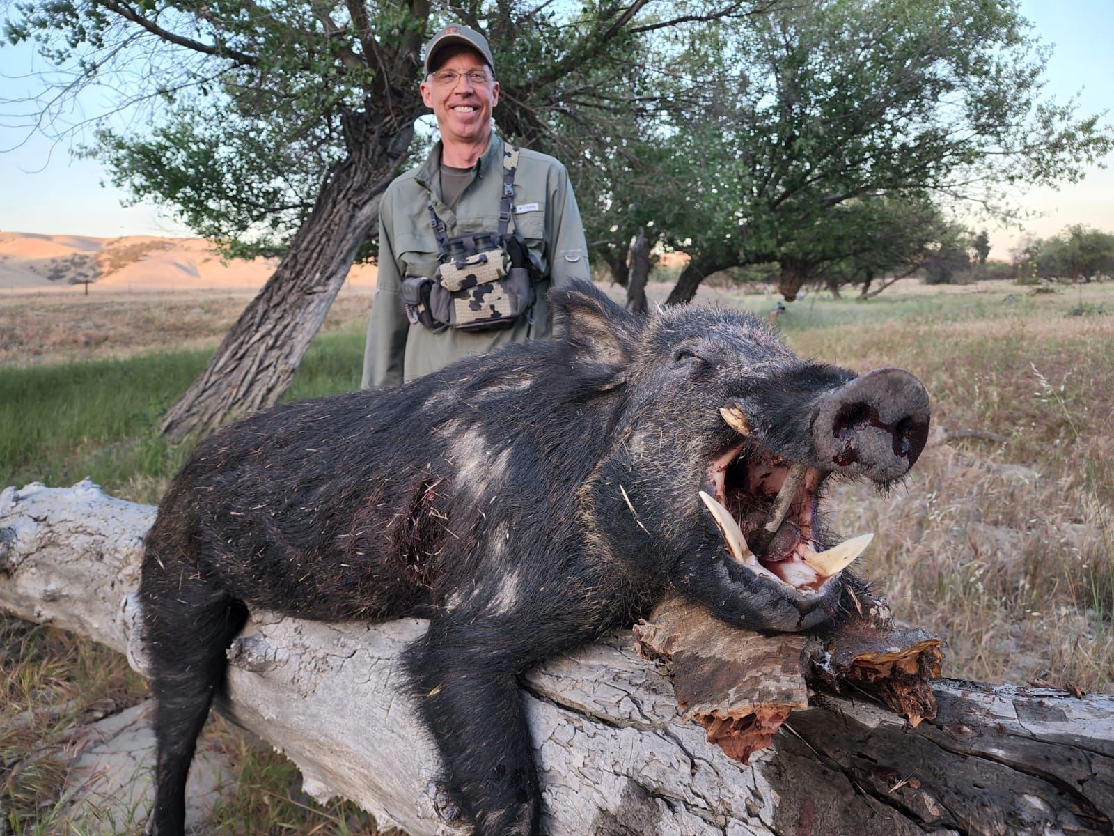 Successful solo hunter standing behind large tusked wild hog