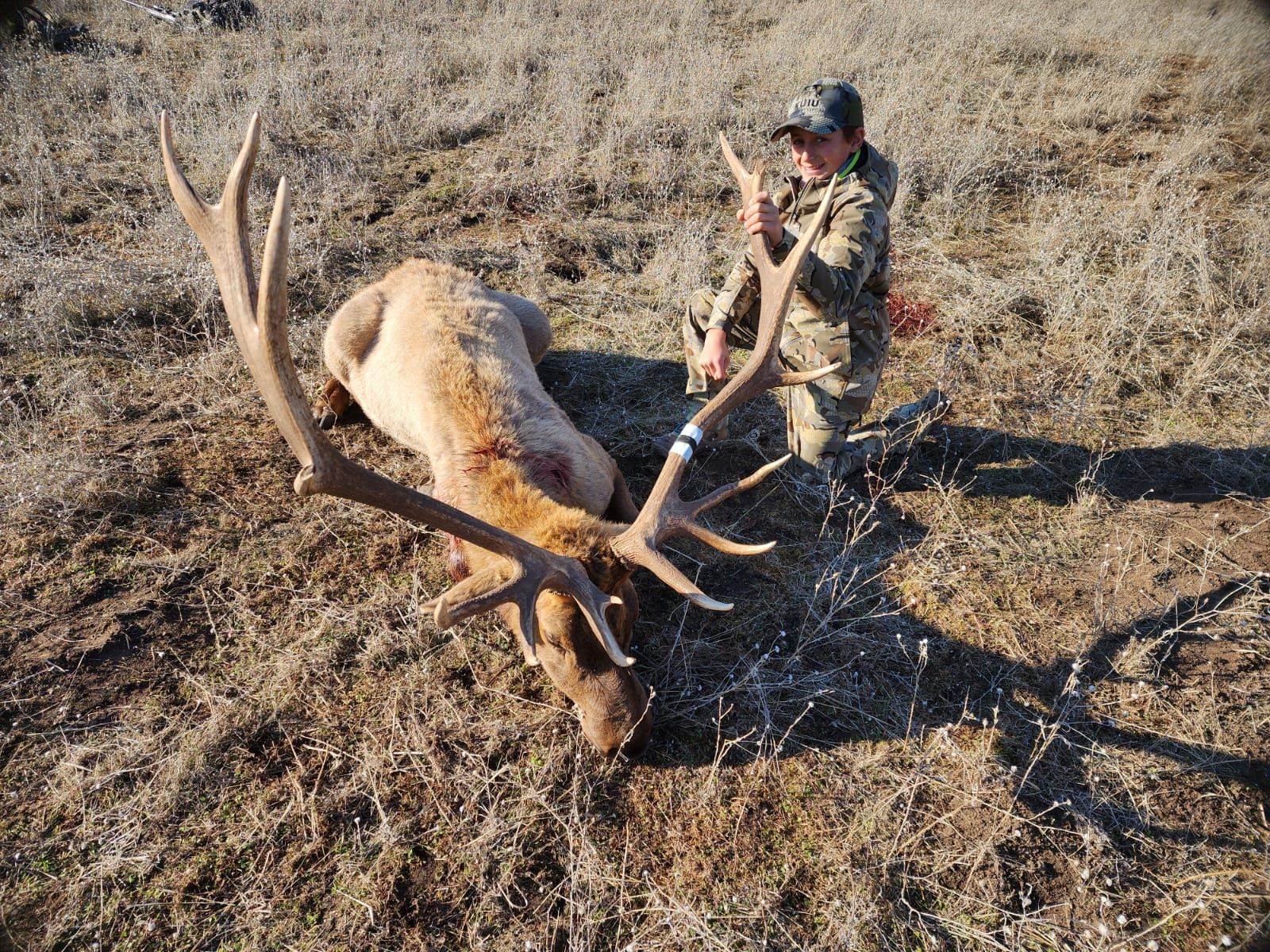 Youth hunter with trophy Tule elk bull harvested on guided California hunt
