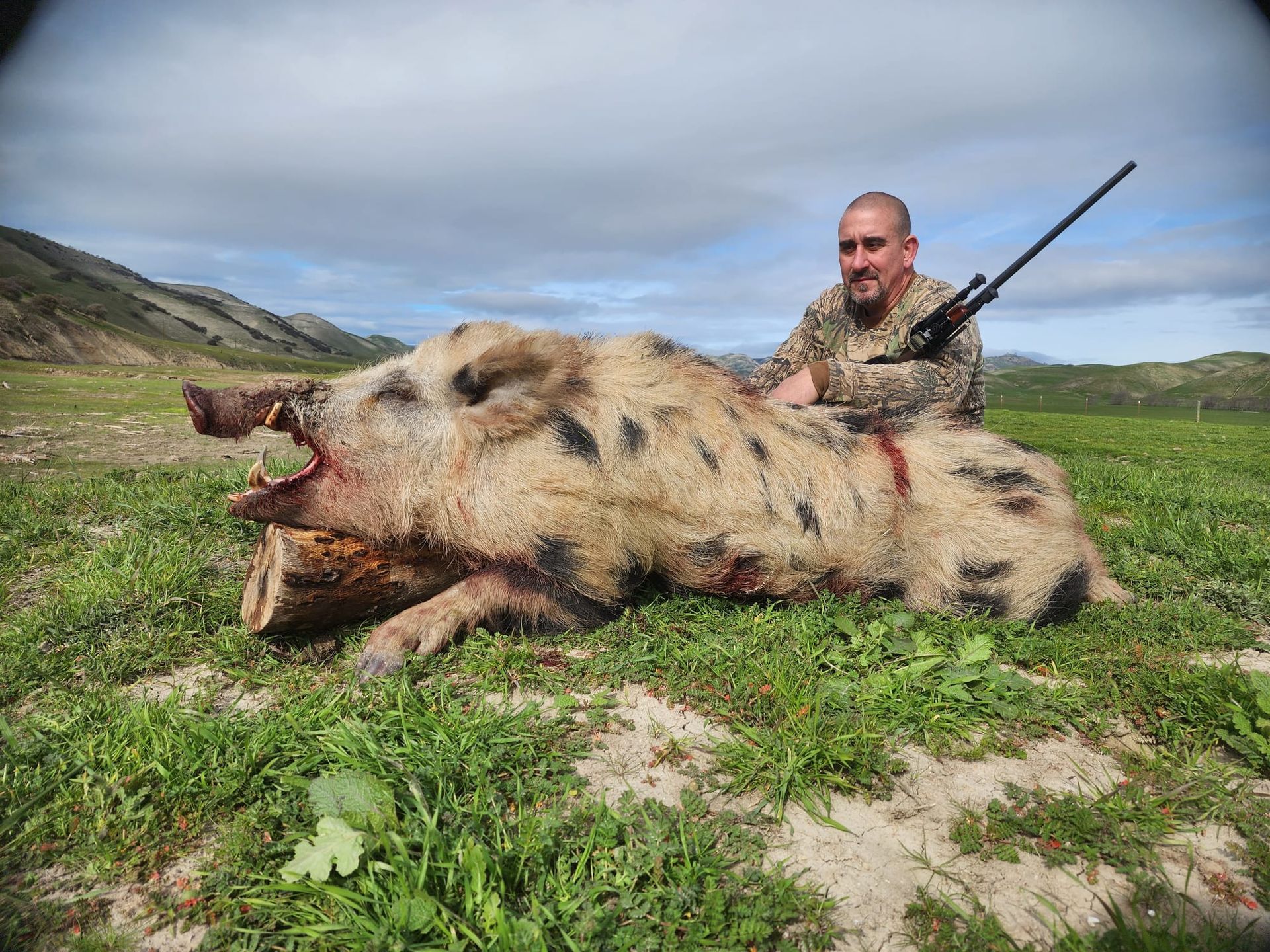 Successful solo hunter kneeling beside massive tusked wild hog