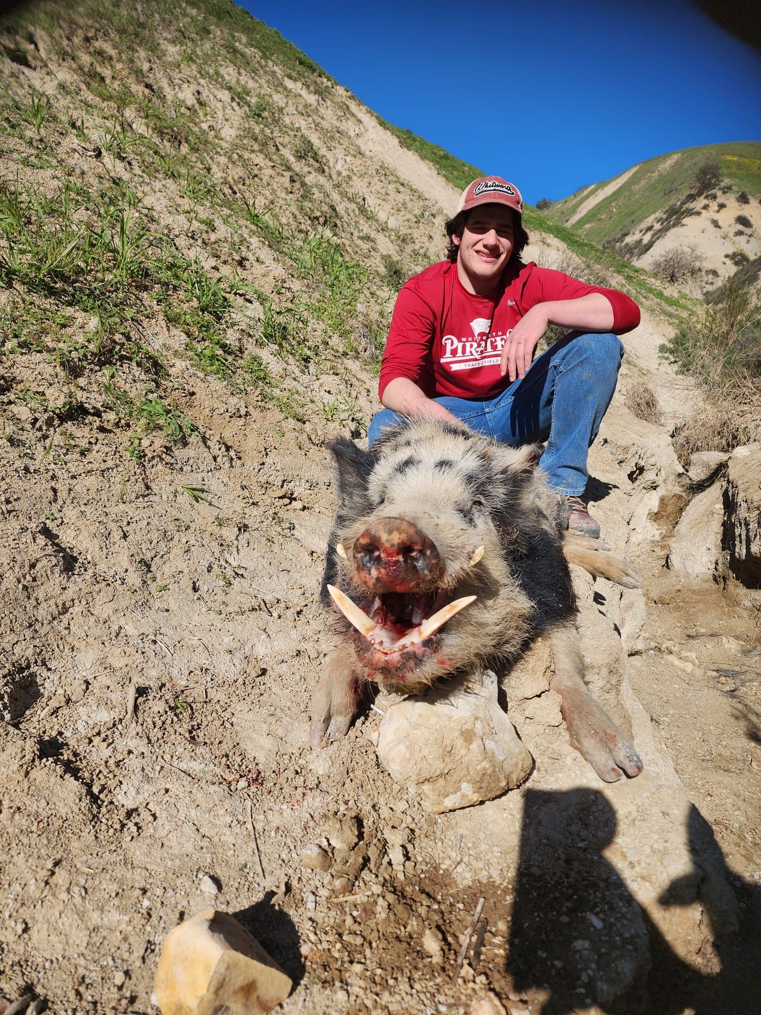 Successful solo hunter kneeling beside massive tusked wild hog