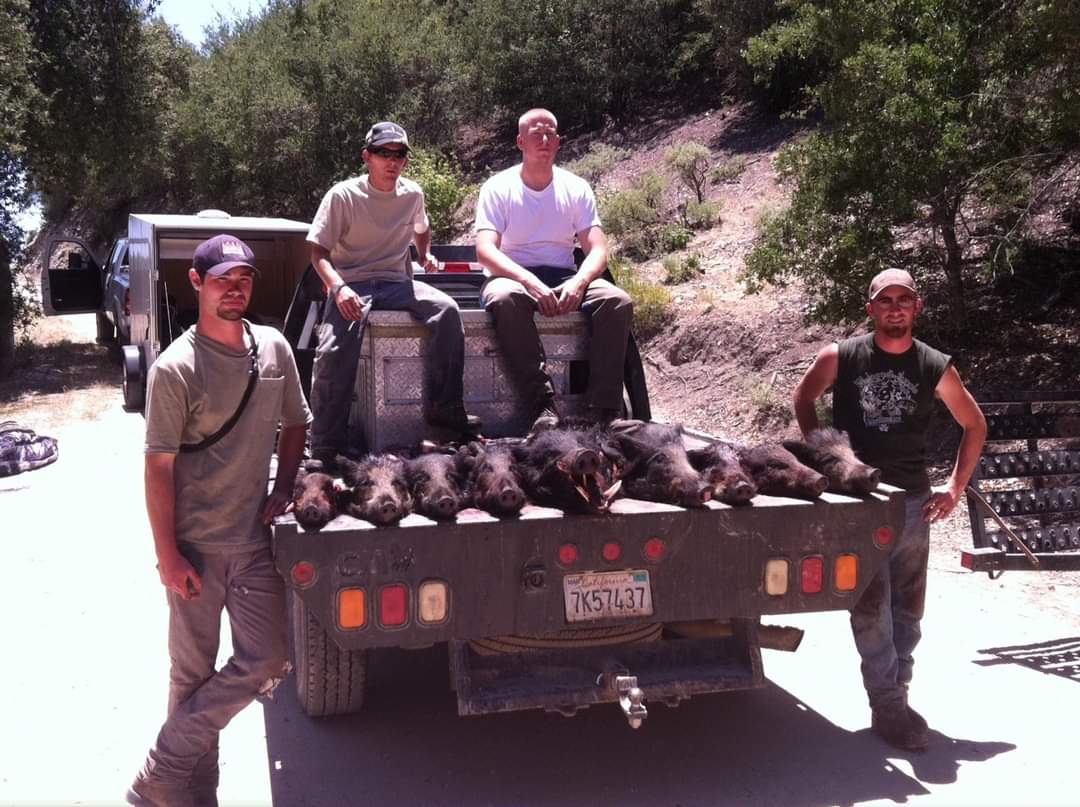 Group of hunters with multiple harvested pigs on private hunting land