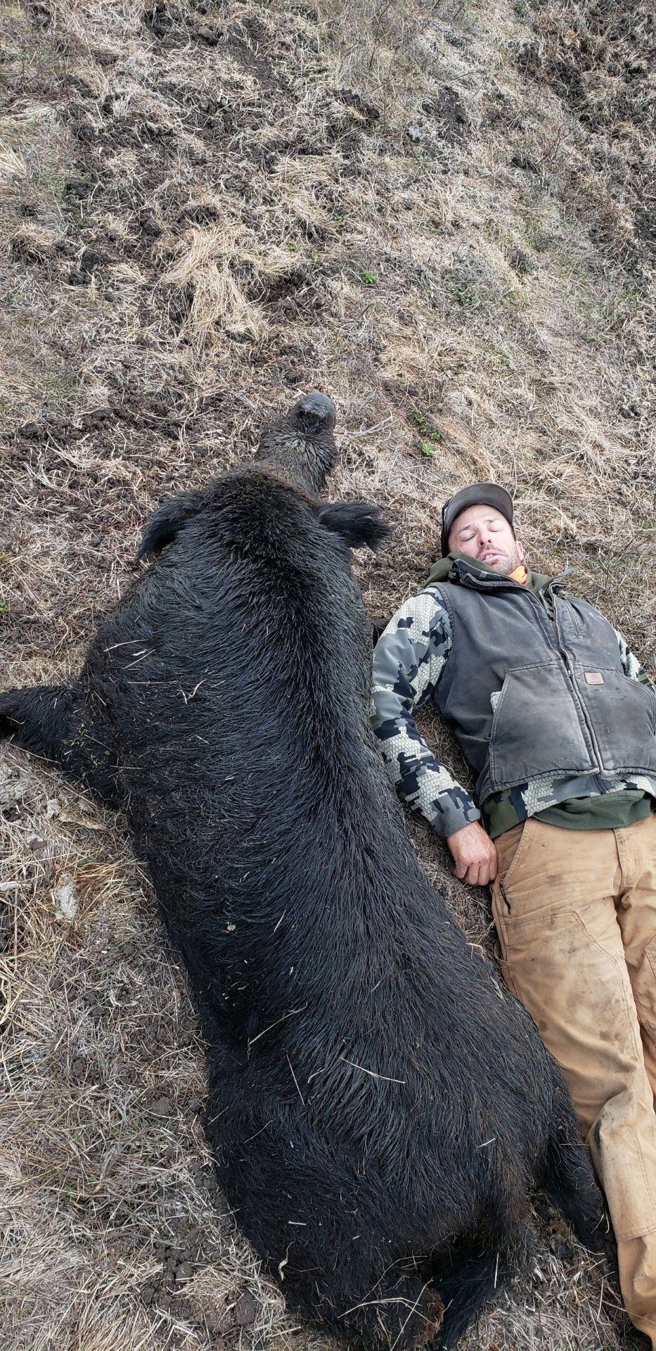 Hunter with large trophy wild boar taken during guided California hunt