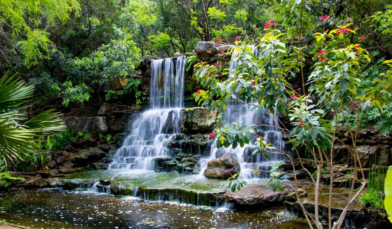 There is a waterfall in the middle of a forest surrounded by trees.