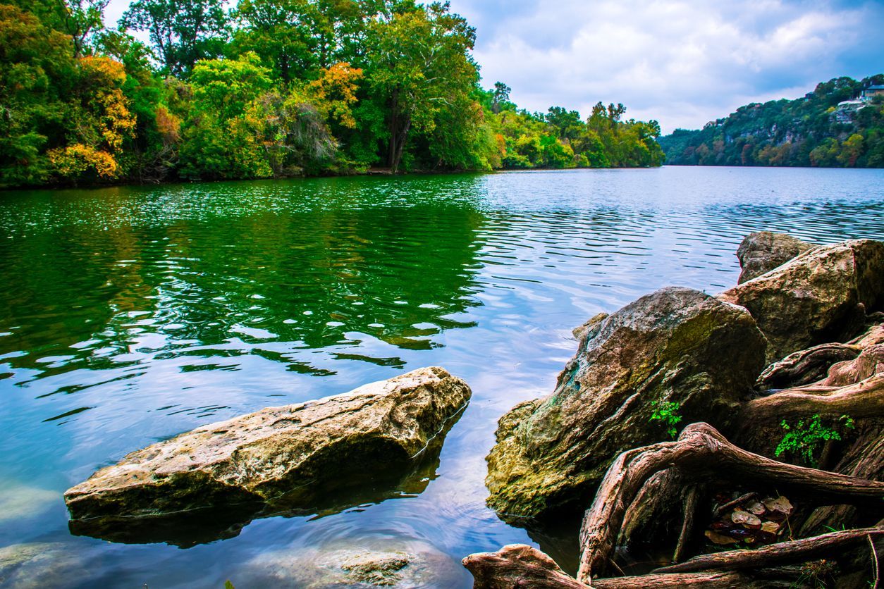 A lake with trees on the shore and rocks in the water.