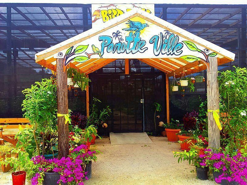 The entrance to pineapple ville is surrounded by potted plants