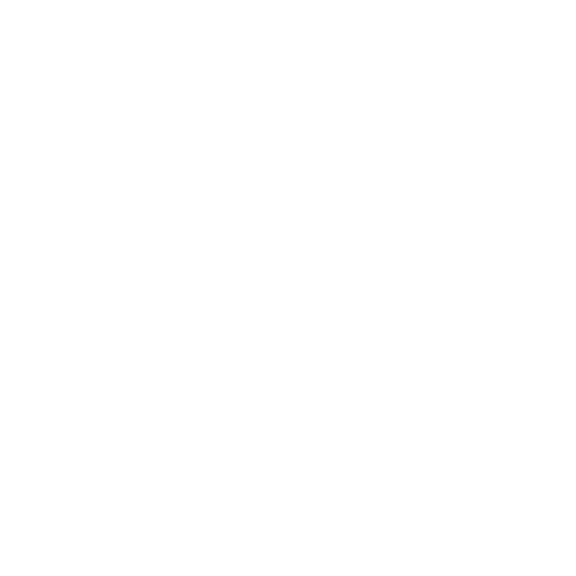 Stylist Academy London Logo