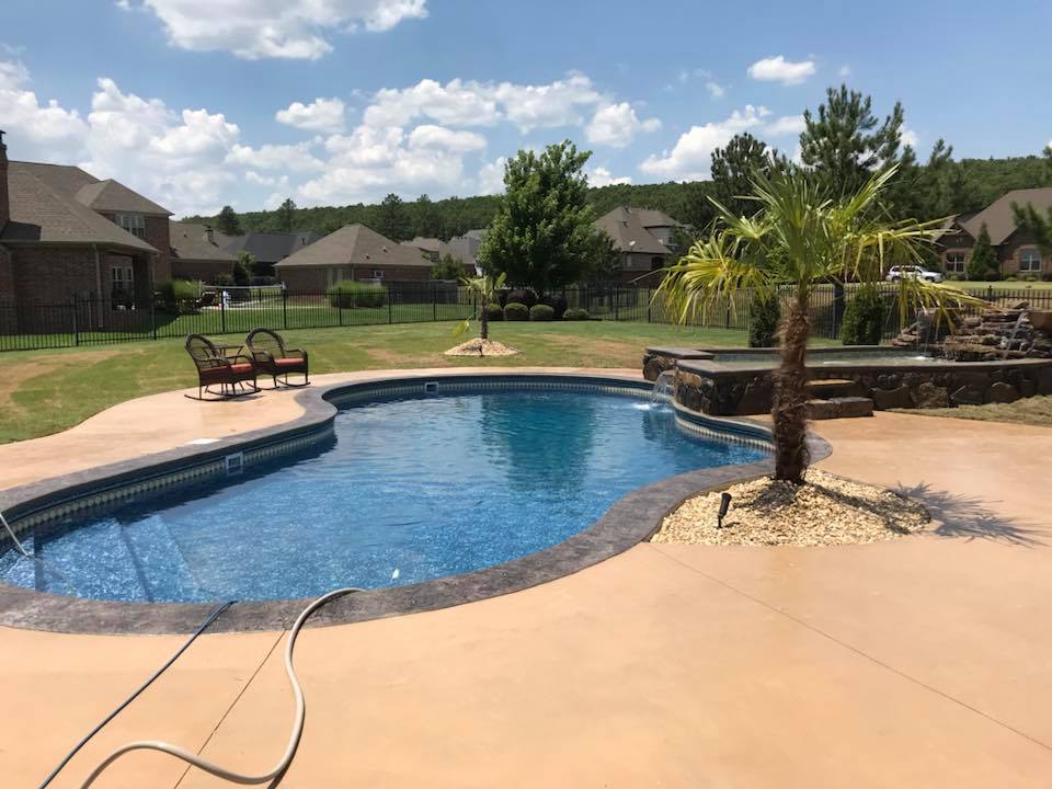 A large swimming pool with a palm tree in the middle of it.