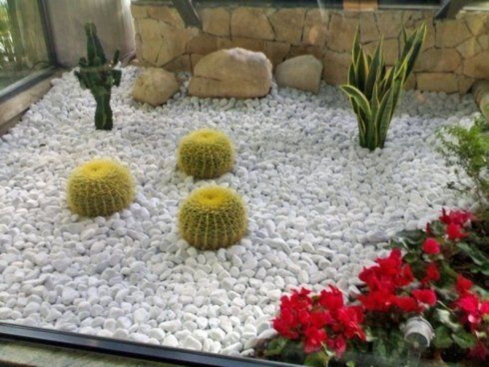 aiuola con piante grasse