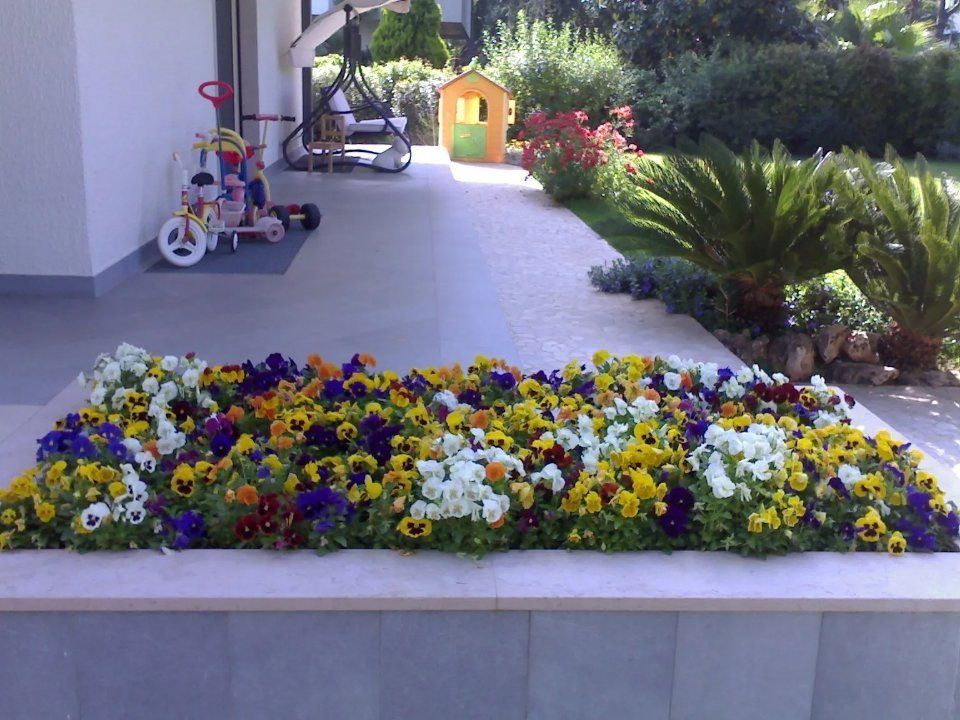 aiuola fiorita di una casa privata