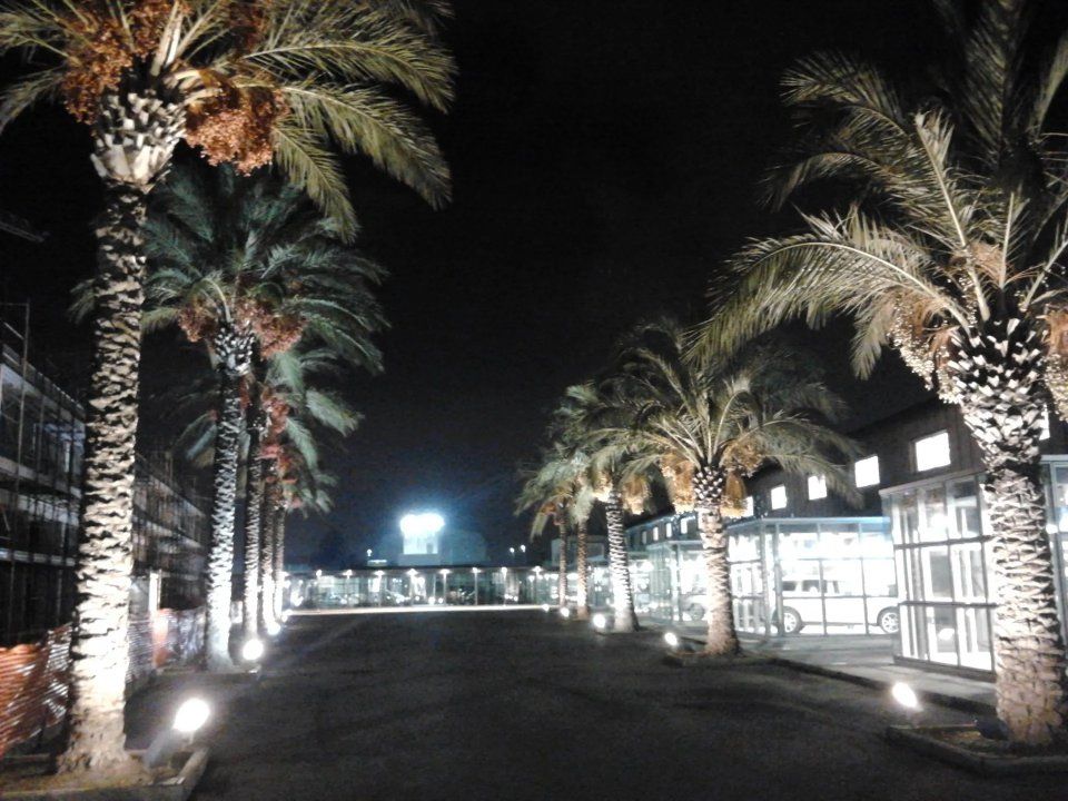 cura delle aree verdi pubbliche