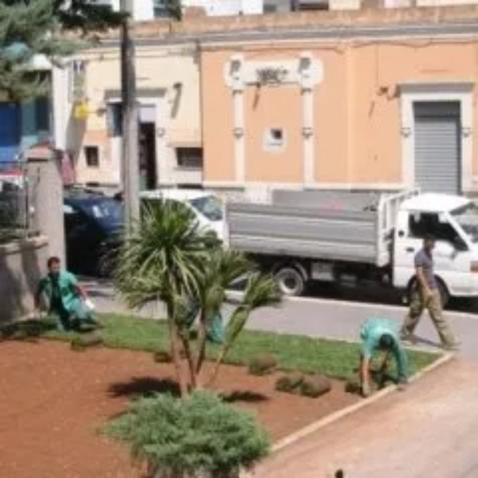 cura del verde pubblico