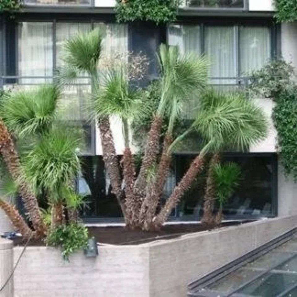 progettazione di aiuole condominiali