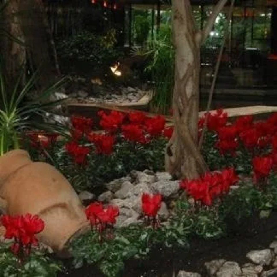 progettazione di aree verdi condominiali