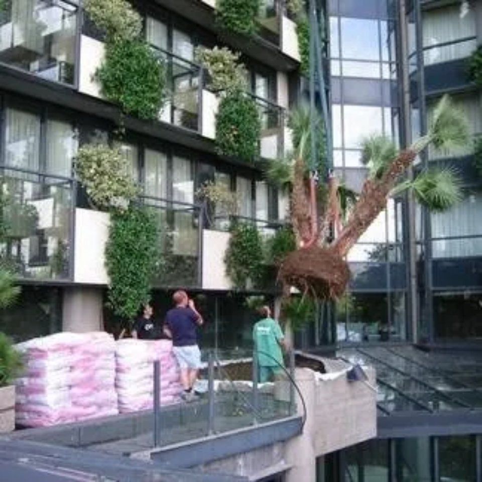 manutenzione alberi condominiali