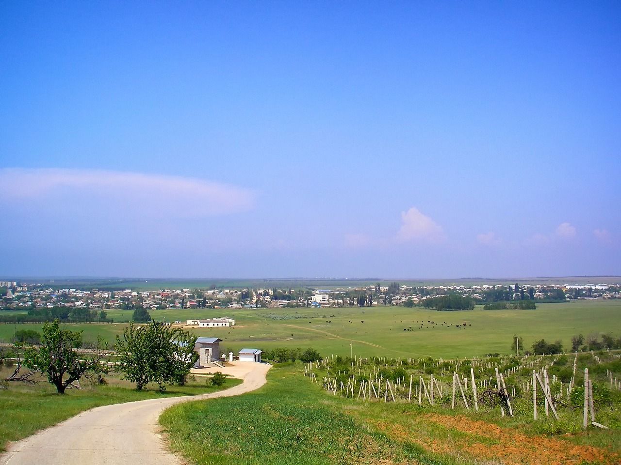 Dirt road leads to a distant town under a bright blue sky, with green fields and vineyards in the foreground.