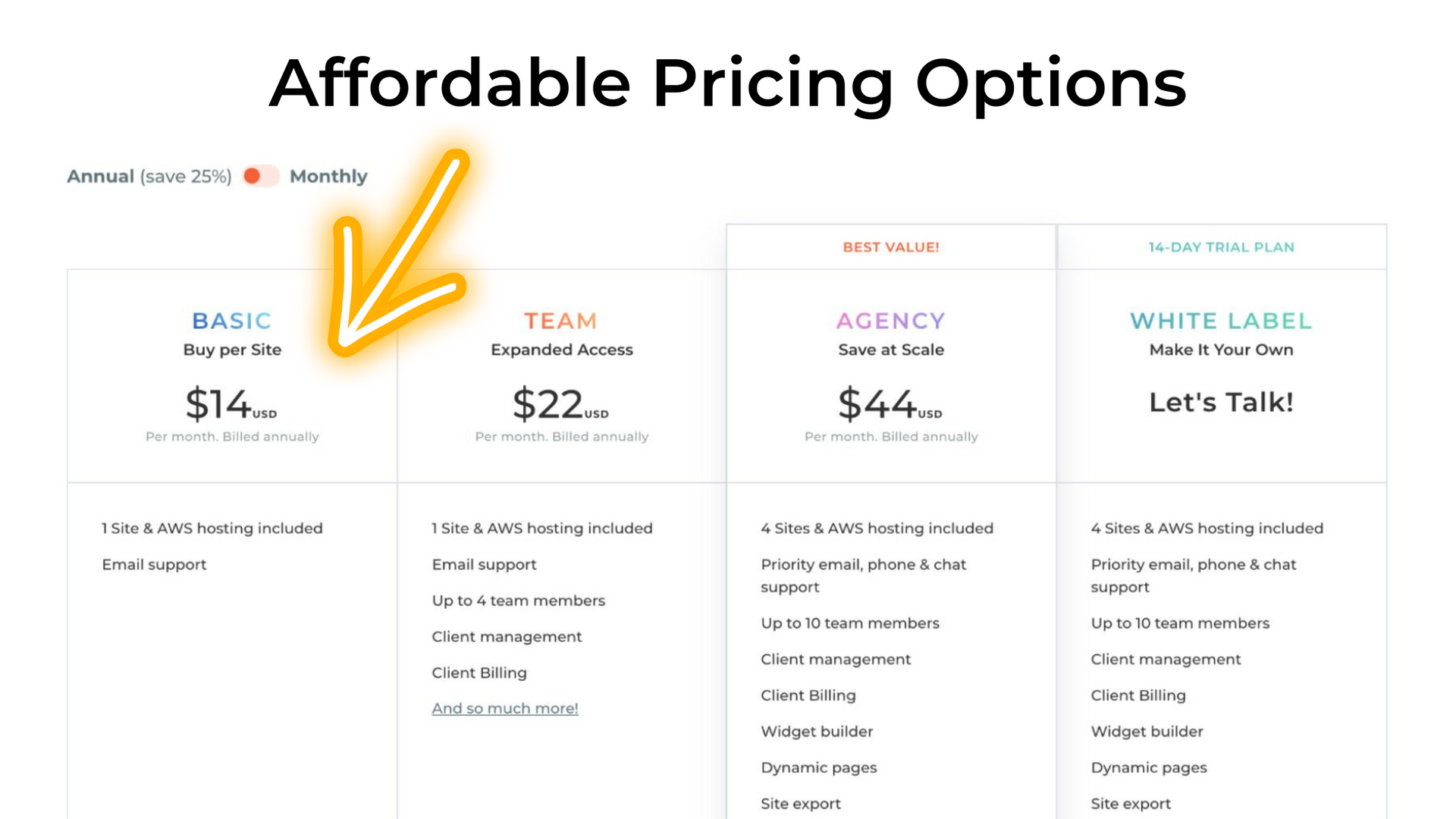 Affordable Pricing Options