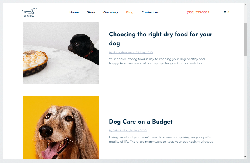Content Marketing Engaging Pet Owners with Valuable Insights