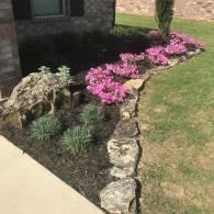 A landscaped garden bed borders a stone house, featuring pink flowers, green shrubs, a large rock, and mulch.