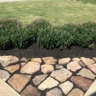 A flagstone patio bordering a garden bed with dark mulch and green shrubs, set against a background of mown grass.