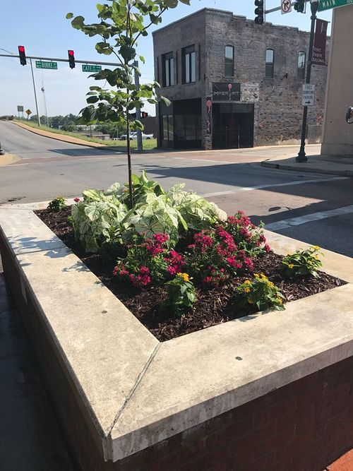 A raised brick planter with a young tree, white foliage, and pink and yellow flowers on a street corner intersection.