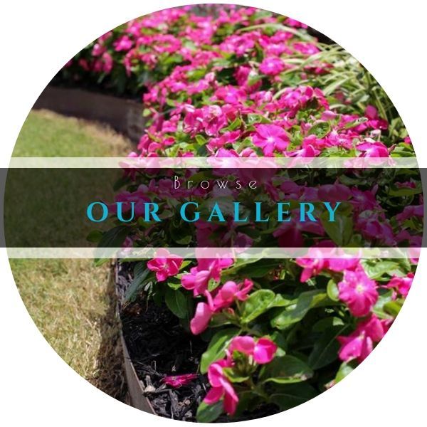 A round image showing a bed of vibrant pink flowers with a dark, transparent overlay featuring the text 