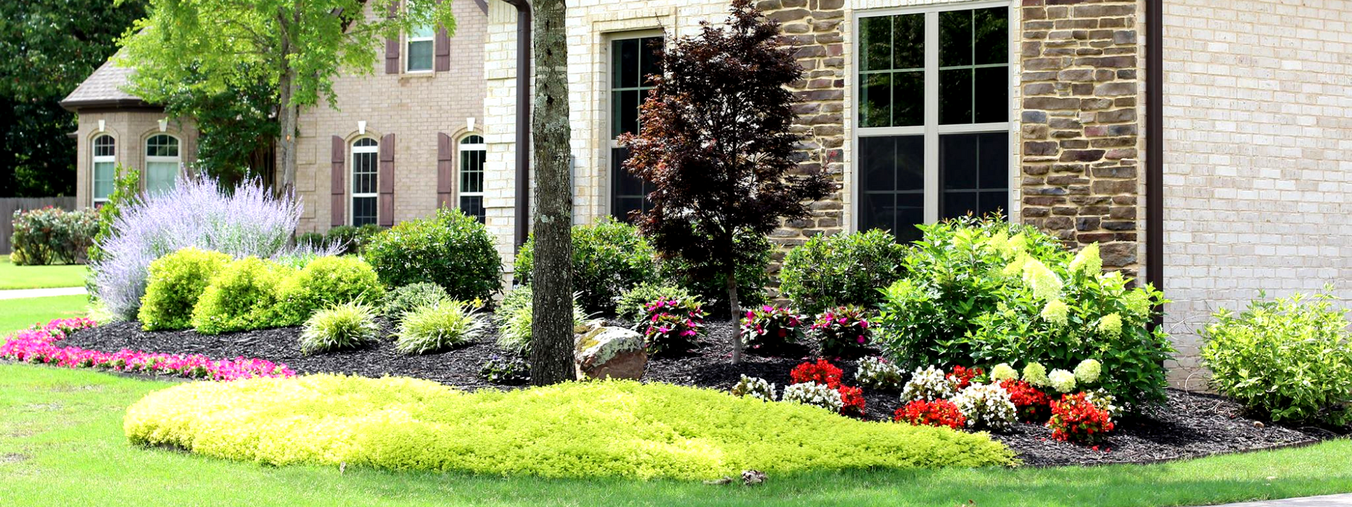 A neatly landscaped front yard featuring a variety of green, yellow, and red shrubs and flowers in dark mulch beds.