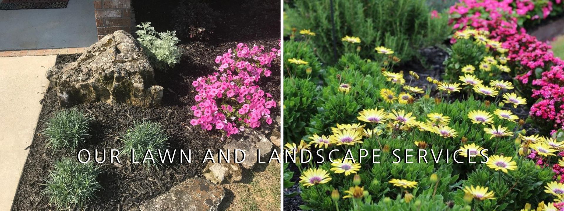 A split-screen view showing a flower bed before and after professional landscaping with vibrant yellow and pink flowers.