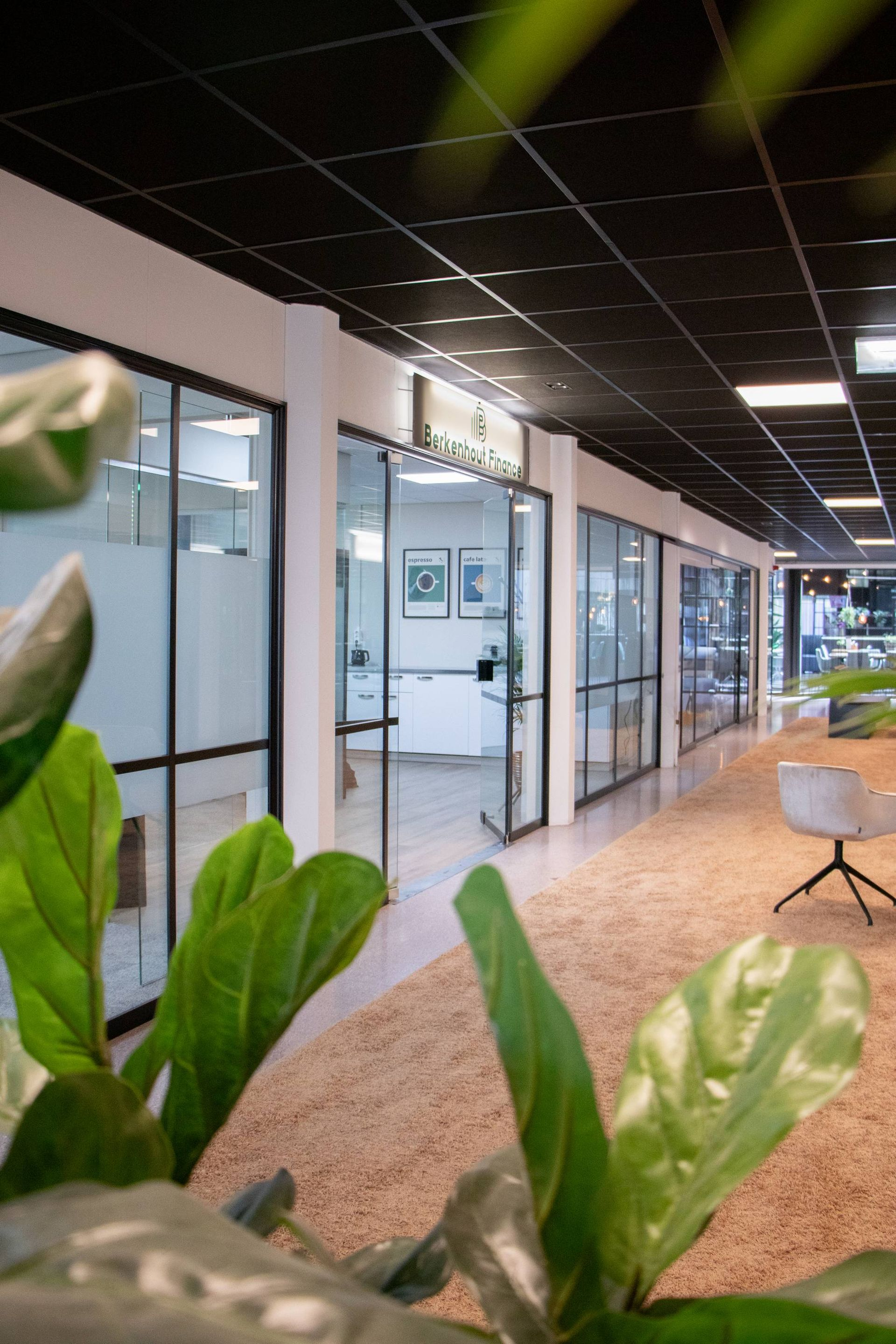 Kantoorhal met kamers met glazen wanden, bruin tapijt, zwart plafond en een grote groene plant op de voorgrond.