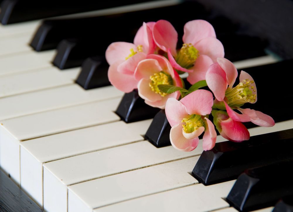A Coffin Is Sitting In A Room Surrounded By Flowers — Territory Funerals In Palmerston, NT