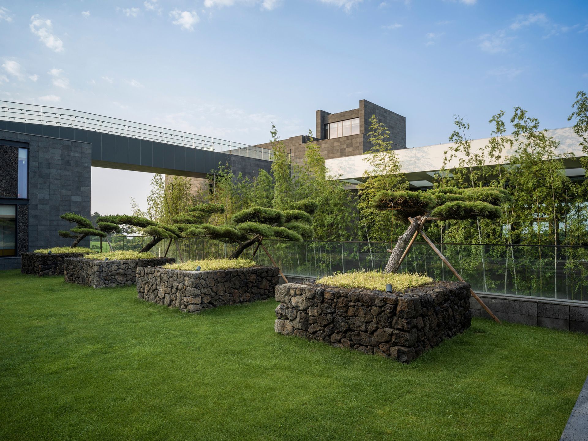 JW Marriott Jeju  view garden minimalist windows
