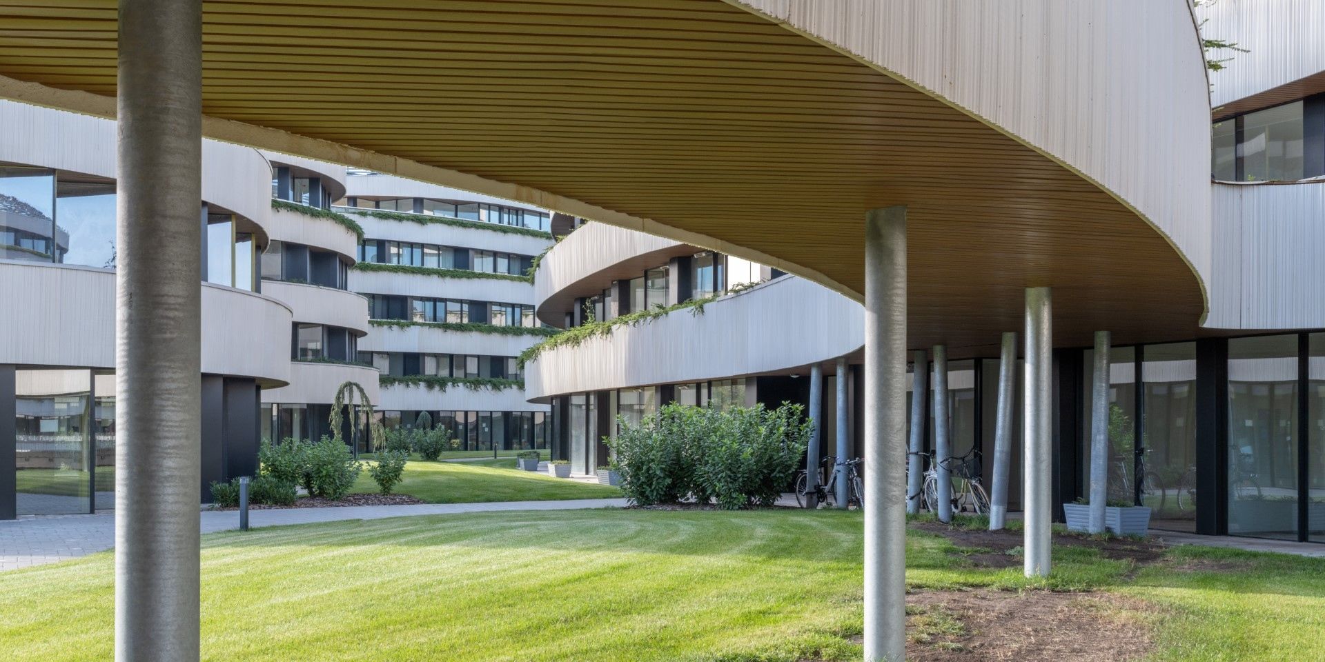 Cedrus Liget in Szeged features a curved structure surrounded by plants.