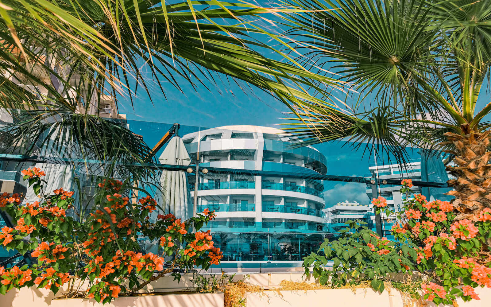 A view of a building from a balcony with palm trees and flowers.