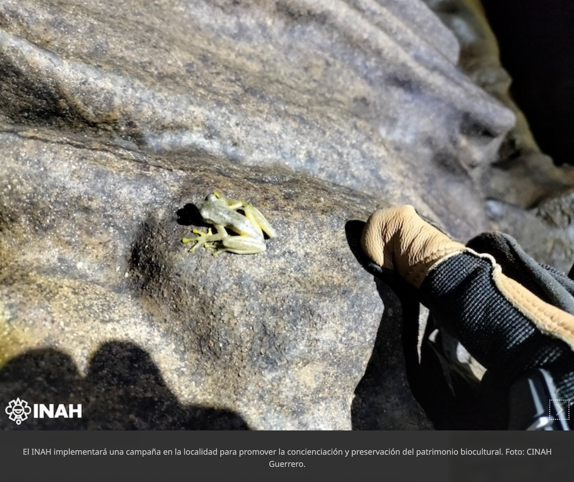 En el otoño de 2023, en las profundidades de una cueva desconocida en la sierra de Guerrero