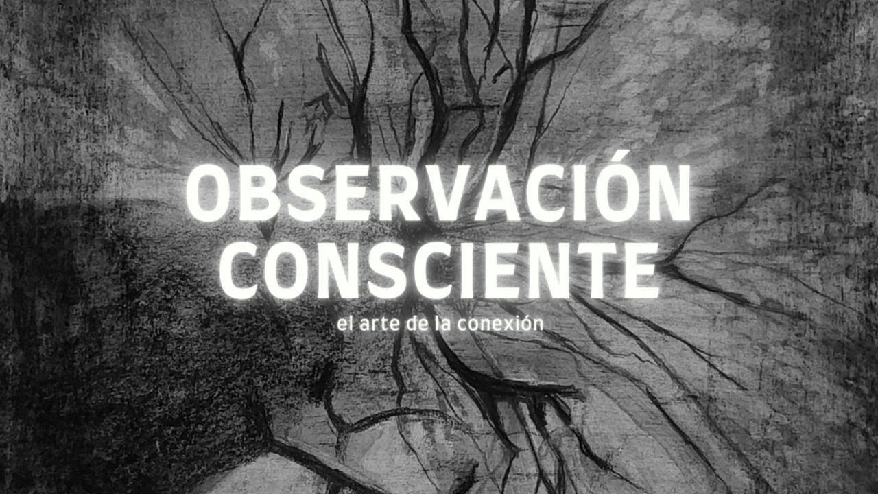 Haz Rizoma Observación Consciente