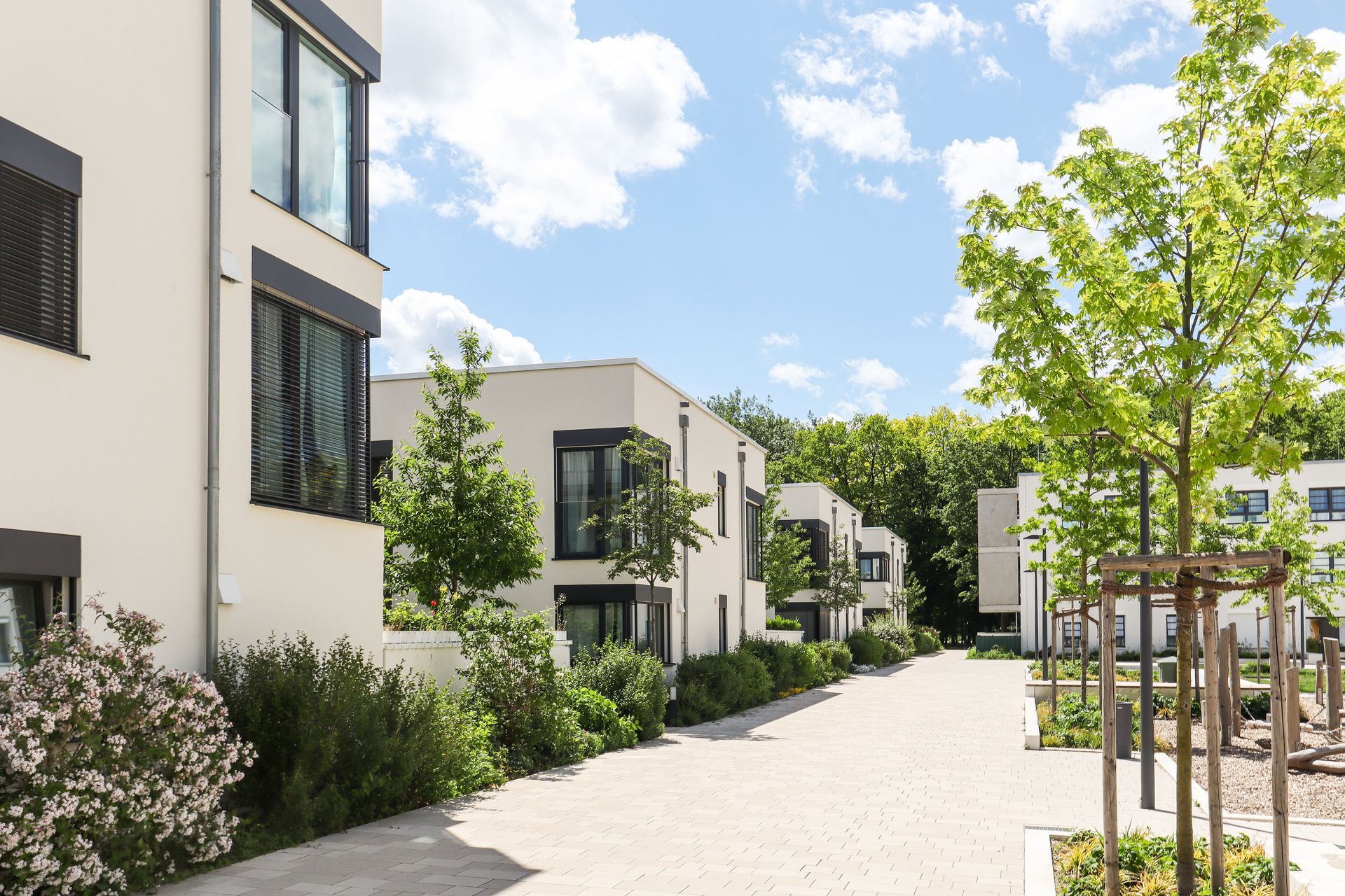 Modern apartment courtyard with white buildings, trees, and a sunlit path