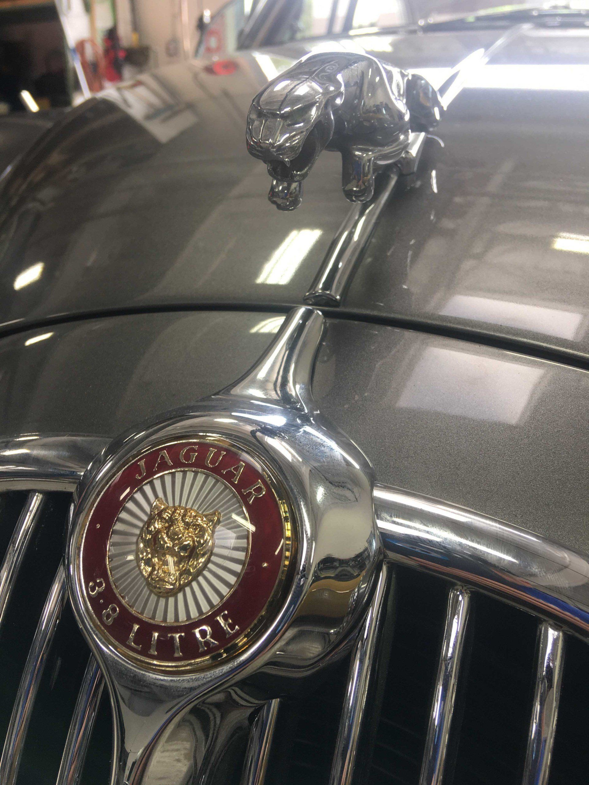 Shiny Logo on the Front of the Car — Cotati, CA — British European Motors